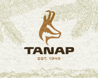 tanap标志设计