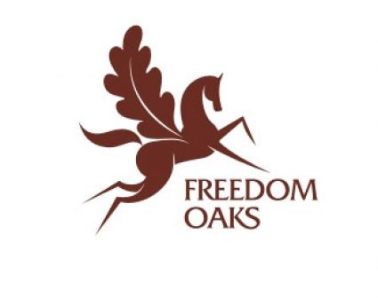 Freedom Oaks飞马logo设计