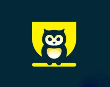 Owl猫头鹰logo设计