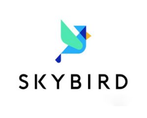 Skybird天空鸟logo设计