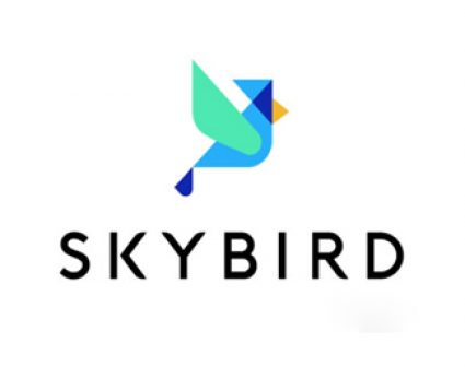 Skybird天空鸟logo设计