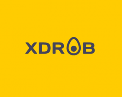 XDRb标志设计