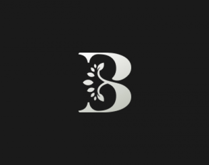 B字母标志设计