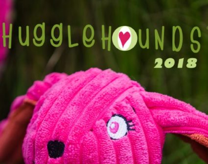 HUGGLEHOUNDS 画册设计