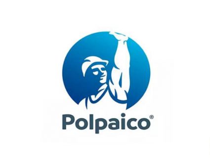 水泥公司Cemento Polpaico LOGO