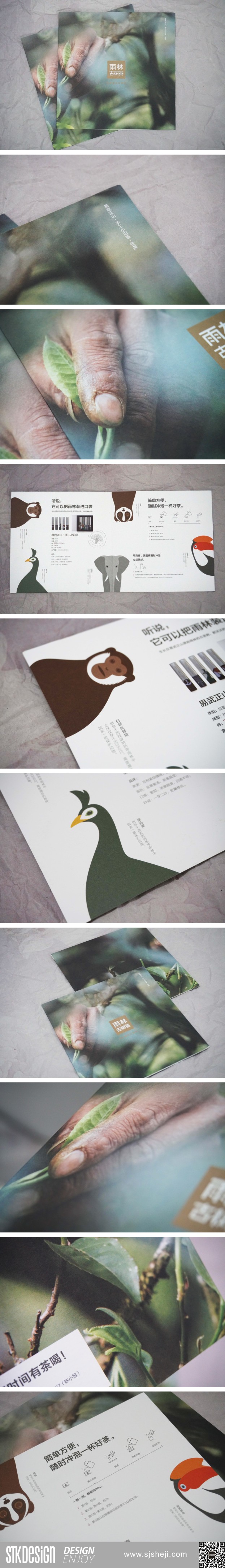雨林茶品牌折页设计欣赏