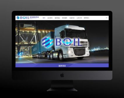 BOIL蓝海国际物流网站设计